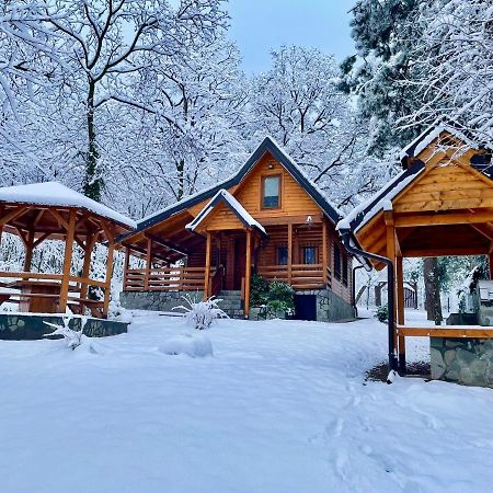 Вилла Brvnara Вршац Экстерьер фото